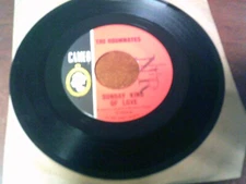 THE ROOMMATES A LOVELY WAY TO SPEND THE EVENING / SUNDAY LOVE  45 RPM RECORD