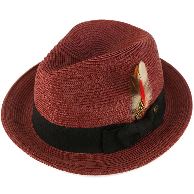 Men's Handsome Feather Derby Fedora 