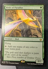 Birds of Paradise Conspiracy: Take the Crown Regular