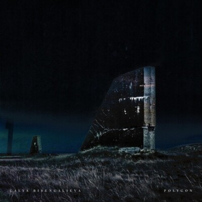 Polygon by Bisengalieva, Galya (Record, 2023)