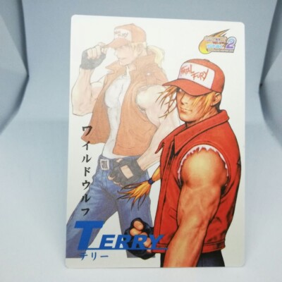 Terry Bogard CAPCOM vs SNK 2 Fatal Fury instruction Card ASCII