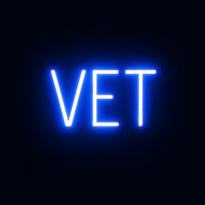 SpellBrite VET Sign | Neon Vet Sign Look, LED Light | 13.1'' x 6.3''