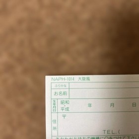 PC Engine Daisenpu Hu Card Soft 8-bit Video Game Collection