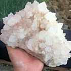 Foto 2 di 12