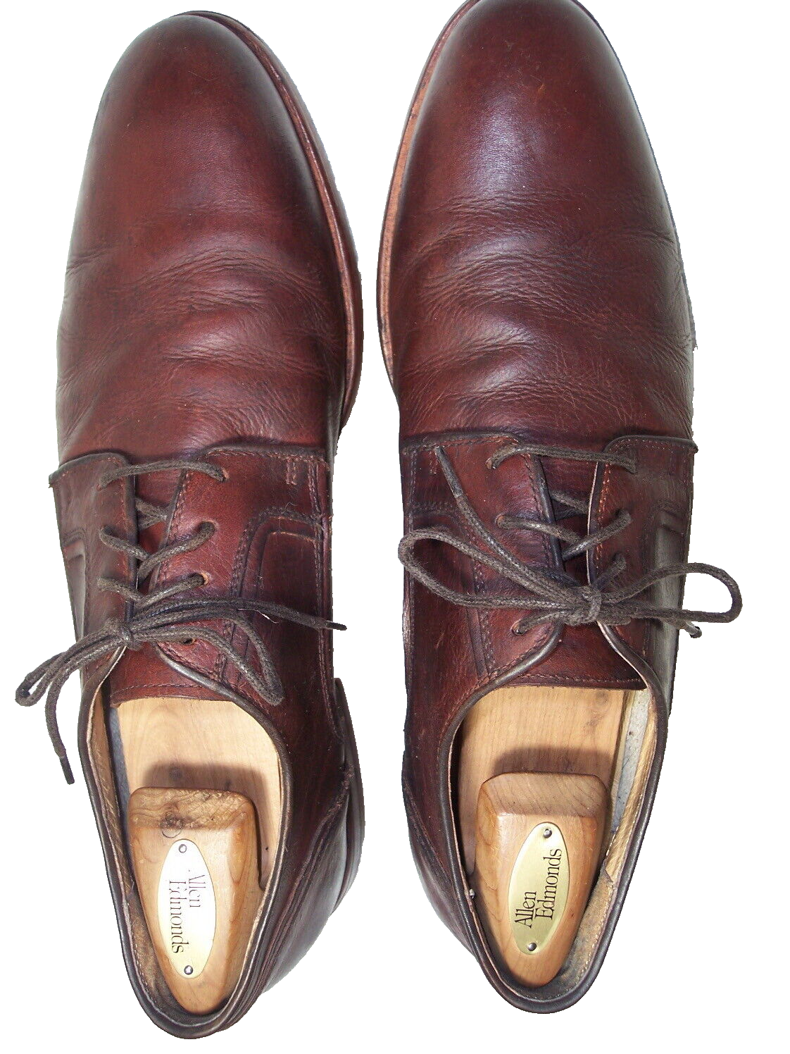 SAOLA Scarpe eleganti derby marroni in pelle Warfield & Grand Gibson taglia 11