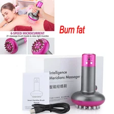 Body Sculpting Lymphatic Drainage Machine Meridian Massage Brush Anti Cellulite