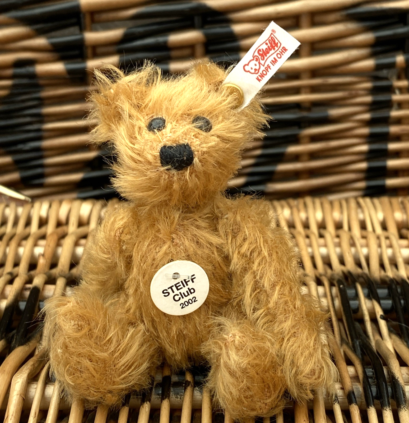 Steiff Club Teddy Bear 2002 - Cinnamon  Mohair 7cm - EAN:420269 - Boxed