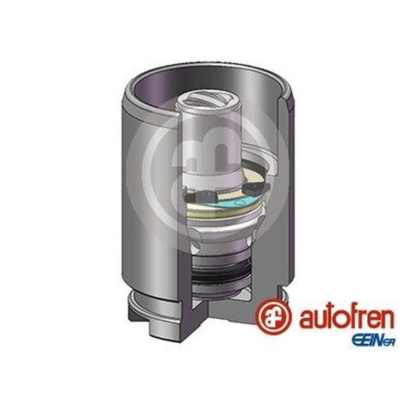Autofren Seinsa D02578K Kolben, Bremssattel-image