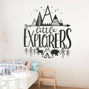 explorer nursery decor