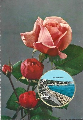 Fragonard ''Rose'' Cpa Nice ValAzur Parfumkarte Grasse Fragonard Vintage