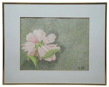 1994 Jane Long First Place Award Pink Flower Colored Pencil Drawing 20"