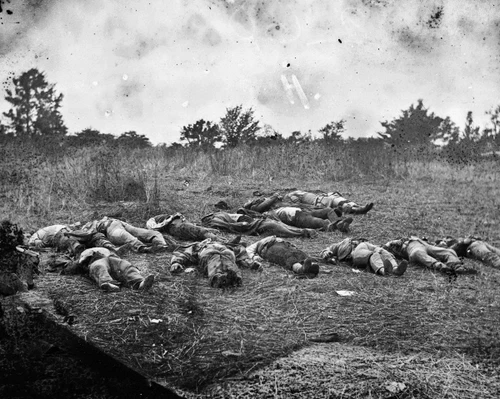 New 8x10 Civil War Photo: Dead Near the Rose Farm Orchard, Gettysburg Battle
