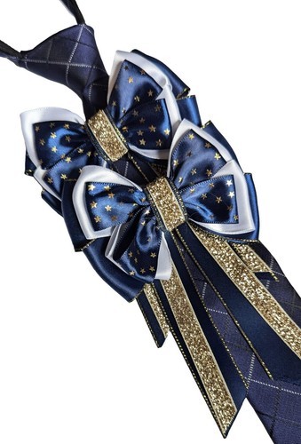 THE SHOW SHOP KINDER PREMIUM REITER MARINEBLAU & GOLD ZEIGENDE KRAWATTE UND SCHLEIFEN SET.