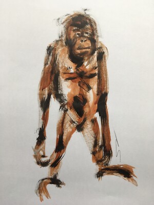 Original signierte Tuschestudie Skizze Gemälde eines Affen Orang-Utan ca. A3