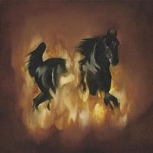 Are the Dark Horse von Besnard Lakes,the | CD | Zustand sehr gut