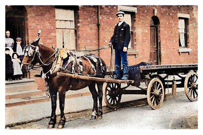 ptc8436 - Yorks' - E Crook, Joiner/Builder's Horse & Cart, Wakefield - Print 6x4