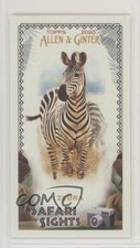 2020 Topps Allen & Ginter's Safari Sights Minis Zebra #SS-11 uk2