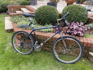 kona lava dome race light