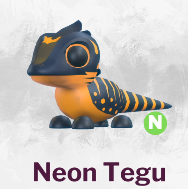 N Tegu - ¡La tienda de confianza!!