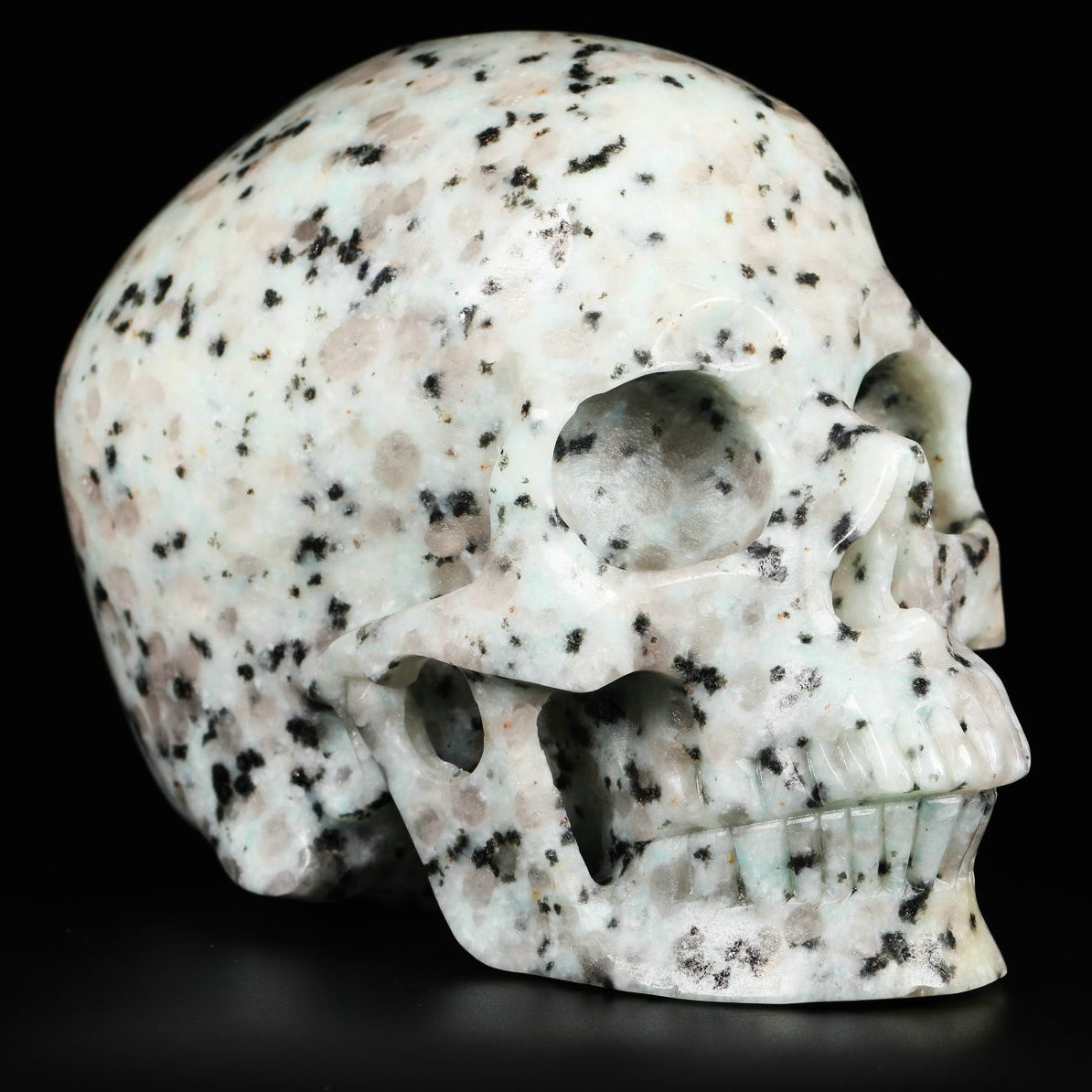 Huge 5.0" Kiwi Jasper Carved Crystal Skull, Realistic, Crystal Healing