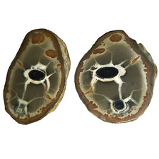 76 Gramm Septarie Paar Edelsteine Marokko Nrx3 Dragonegg Mineraliensammlung Zen