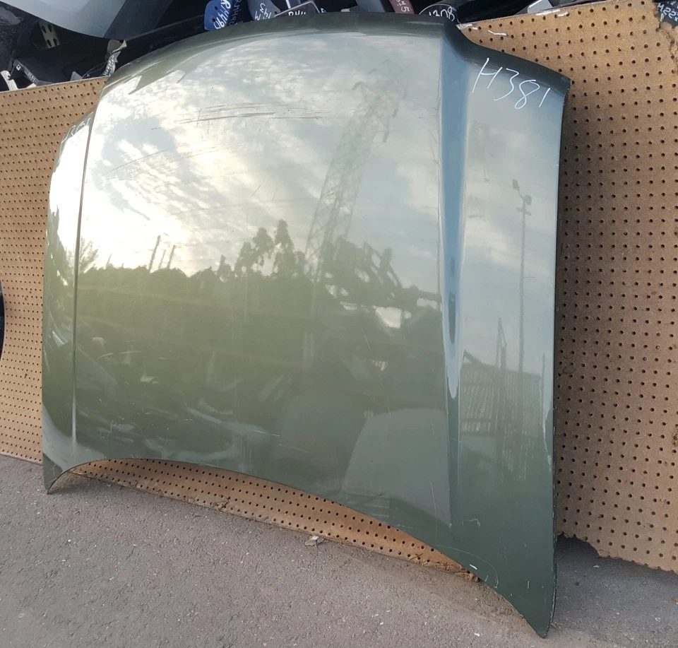 Ford Expedition 2003-2006 capó cubierta panel OEM H381 Foto 3 de 4