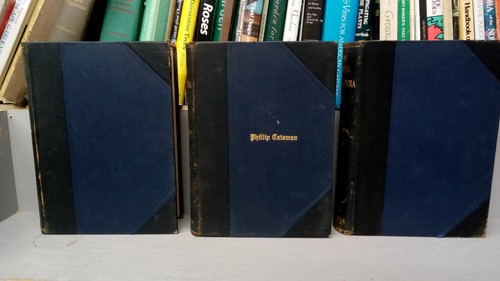 COMPLETE 12 Volume Set The Jewish Encyclopedia Funk & Wagnalls 1916 FREE SHIPPNG - Picture 9 of 19