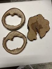 Baumscheiben, Bastellholz, Birke Gestockt Und Apfelholz