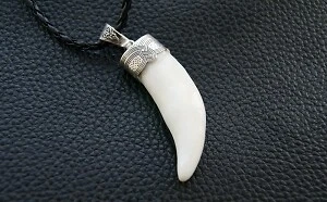 Wolf tooth necklace Animal teeth Wolf fang Wolf teeth Wolf
