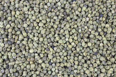 1000Kräuter Pfeffer grün ganz (Piper nigrum) 100 g