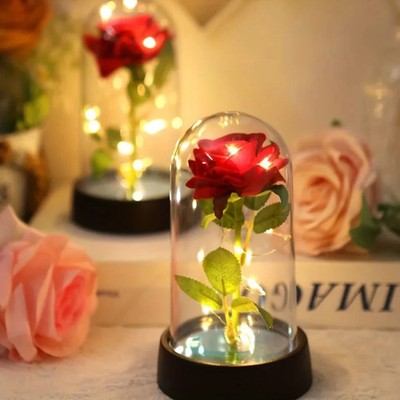 Ewige leuchtende Rose mehrfarbig - Romantisches Geschenk Geburtstag, Hochzeit,