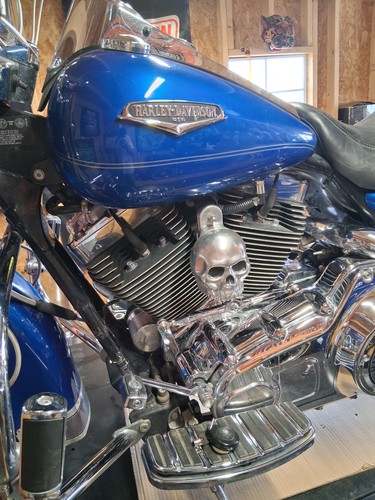 Harley Davidson V-Twin Custom Skull Horn Cover