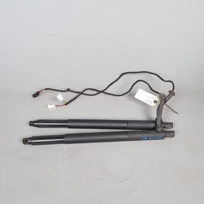 2011-2014 BMW X6 E71 Power Trunk Hatch Liftgate Strut Shock Pair Set OEM