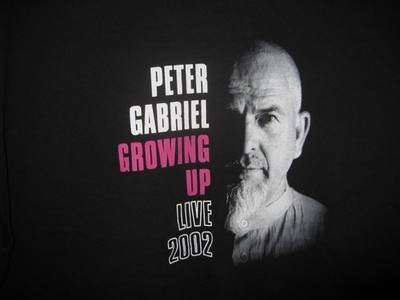 Vintage Peter Gabriel Growing Up Live 2002 USA Tour Concert tee t-shirt Size XL