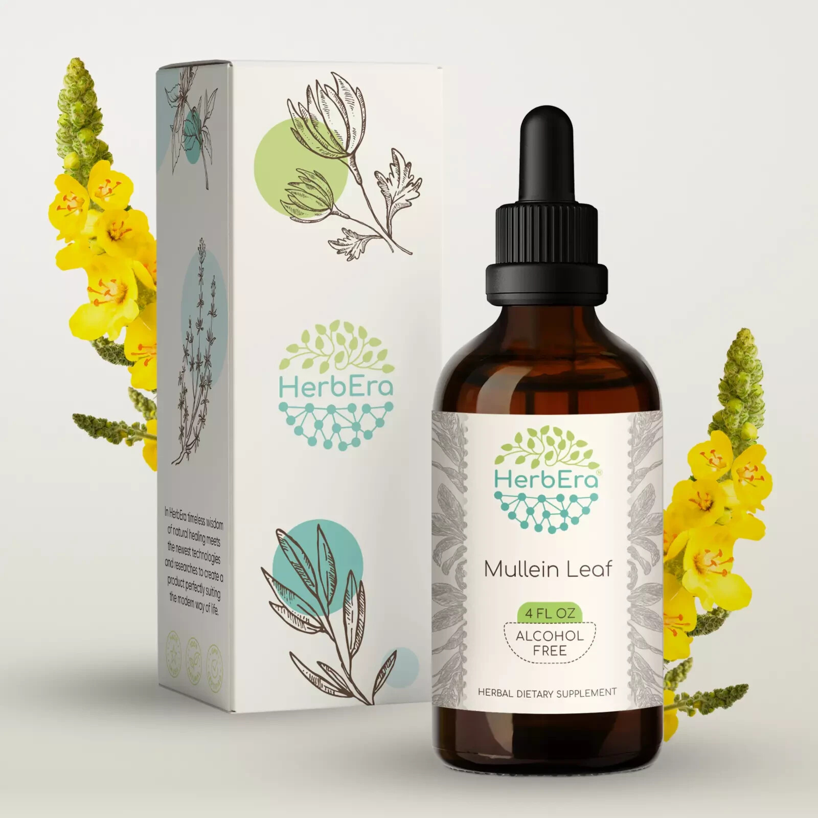 HerbEra Mullein Leaf Alcohol-FREE Tincture, Organic (Verbascum thapsus) 4FL OZ