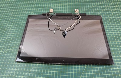 Dell Alienware M17X R4 17.3 1920x1080 LCD Screen Display Complete Assembly #c725