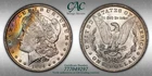 1884-O VAM 7a Morgan Silver Dollar Toned MS63 CACG Rainbow Toner Pitted Die, ED