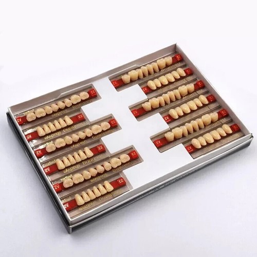 3 Set of 84 Denture Dental Acrylic Resin Teeth VITA Color A2 Upper+Lower Shade - Picture 9 of 16
