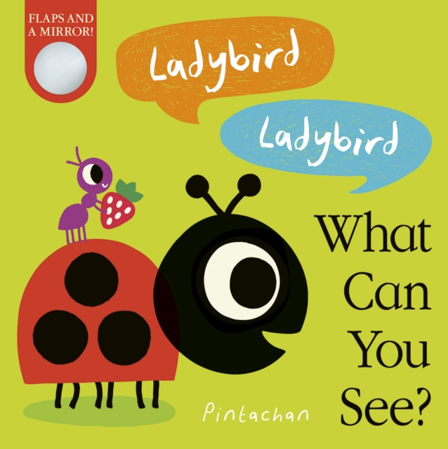 Ladybird! Ladybird! What Can You See? by Amelia Hepworth (Board book)