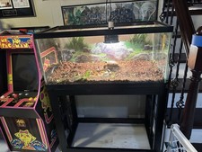 40 Gallon Aquarium / Terrarium With Metal Stand