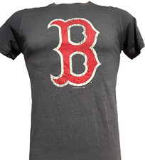 Boston Red Sox Logo Baseball MLB Adult T-shirt Small Gray