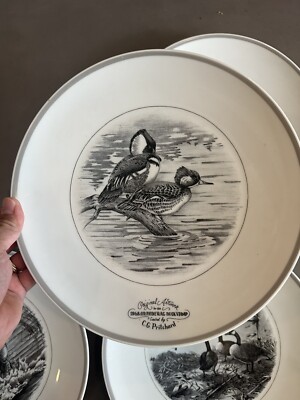 Stunning Abercrombie & Fitch Limoges 1968 Federal Duck Stamp Plate France 11.5 