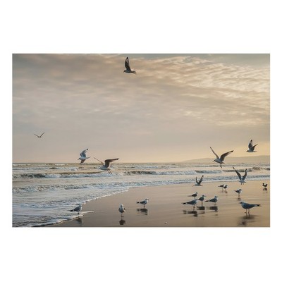 Wandtapete aus Vlies für Wände Wohnzimmer Schlafzimmer Ruhe Am Meer Schwarz