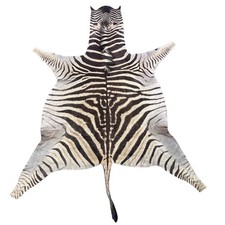 Real Zebra Skin Rug Hide  54 Size: 7.5 X 6.5 feet Genuine Burchells Zebra Hide