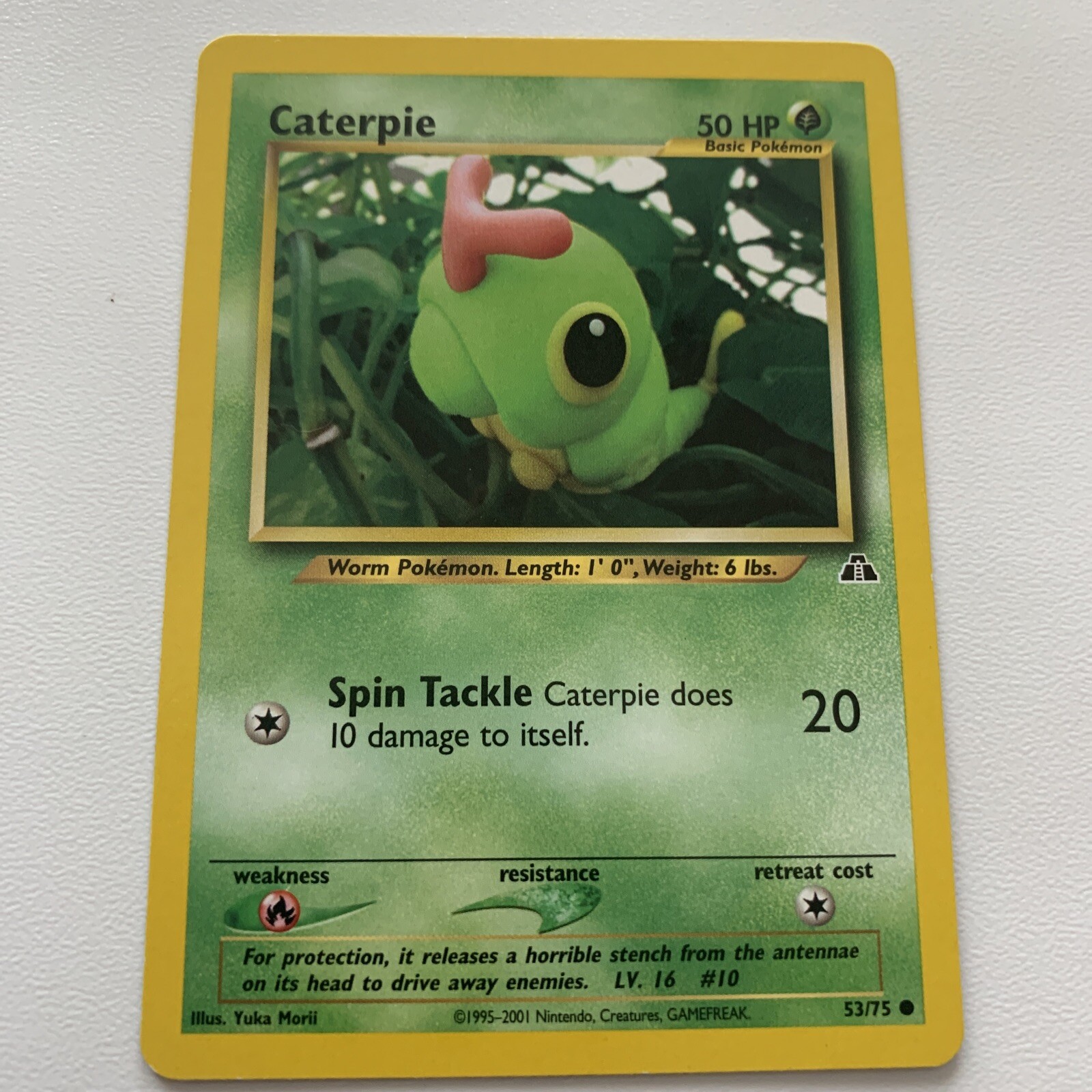 Pokemon TCG Neo Discovery #53/75 Caterpie Unlimited