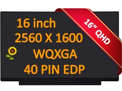 CMN1628 Display f HP Omen Transcend 16 (2023) 16'' QHD LCD Screen 16-u0013dx New