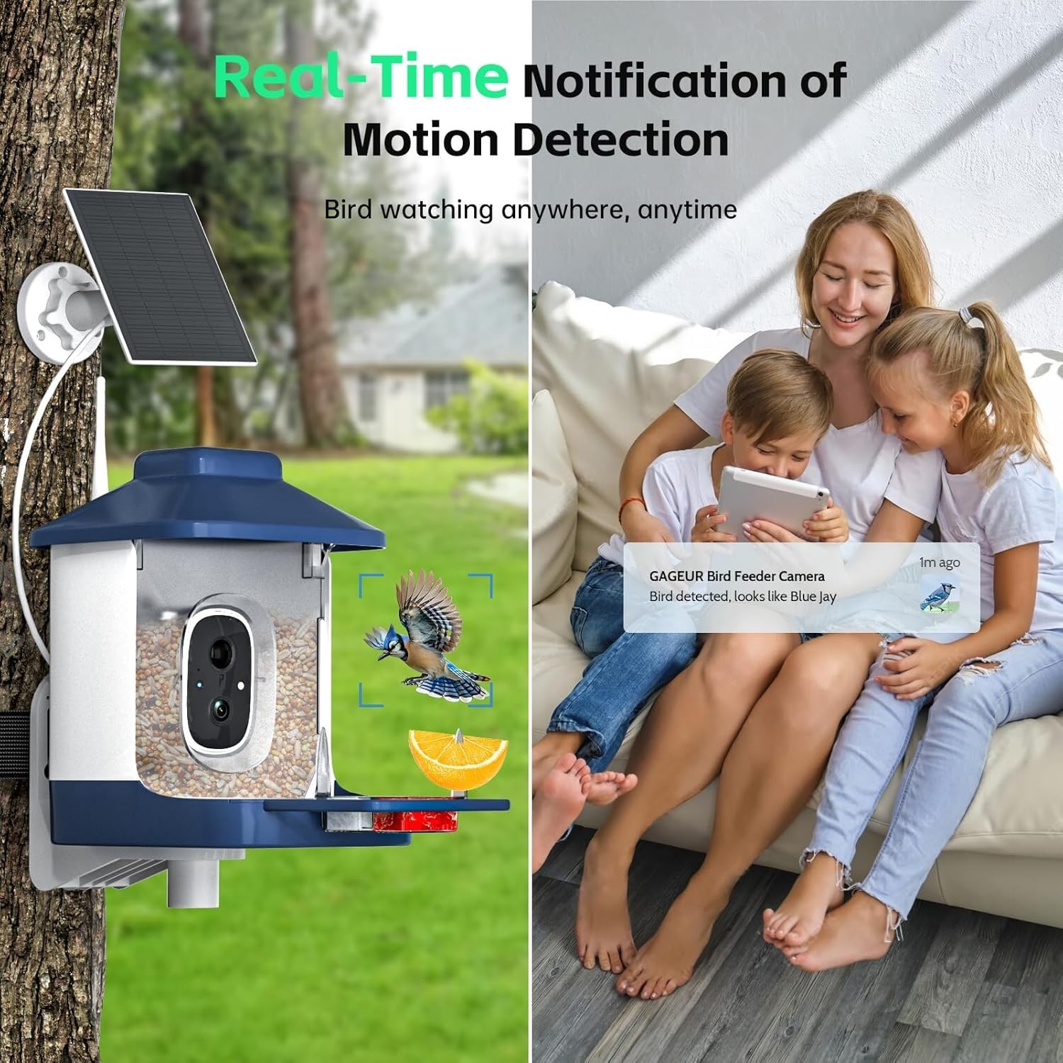 Bird Feeder with Camera, AI Bird Identification, Full HD Live Video, Solar Power