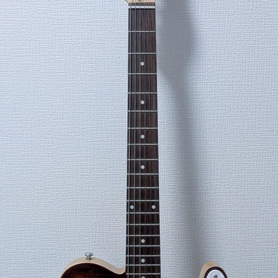 Michael Kelly Hybrid 55 Tiger Eye Burst | eBay