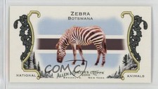 2010 Topps Allen & Ginter's National Animals Minis Zebra #NA49 0jk5