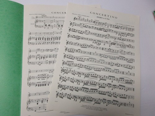 Carl Maria von Weber Concertino Opus 45 Horn Es & Klavier Noten - Bild 2 von 4